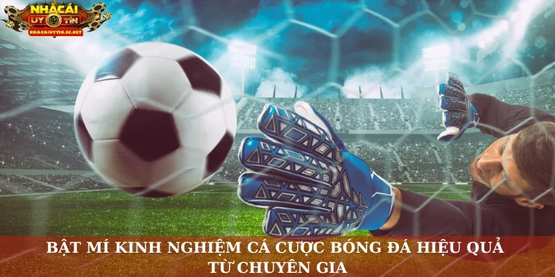 Bật mí kinh nghiệm cá cược bóng đá hiệu quả từ chuyên gia