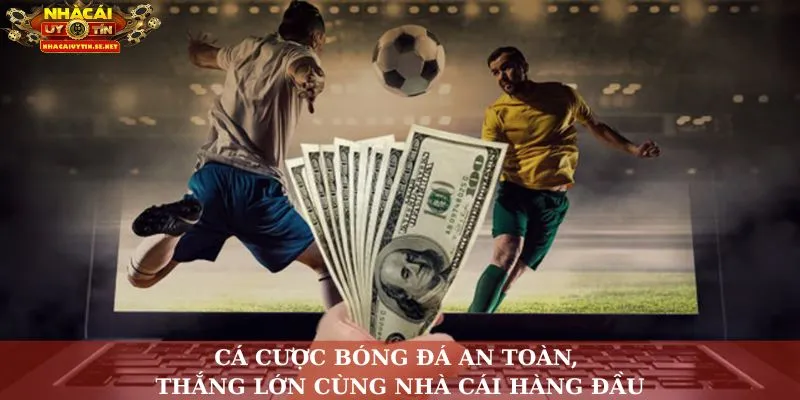 Top Trang Cá Cược Bóng Đá Uy Tín An Toàn, Nhà Cái Hàng Đầu 7 Cá cược bóng đá