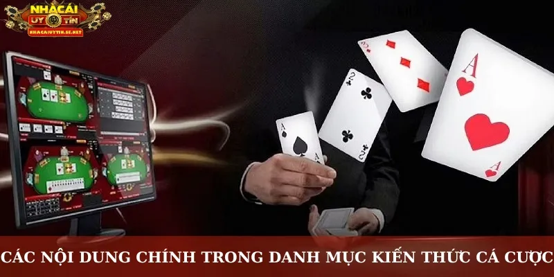Các nội dung chính trong danh mục kiến thức cá cược