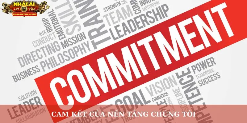 Cam kết của nền tảng chúng tôi