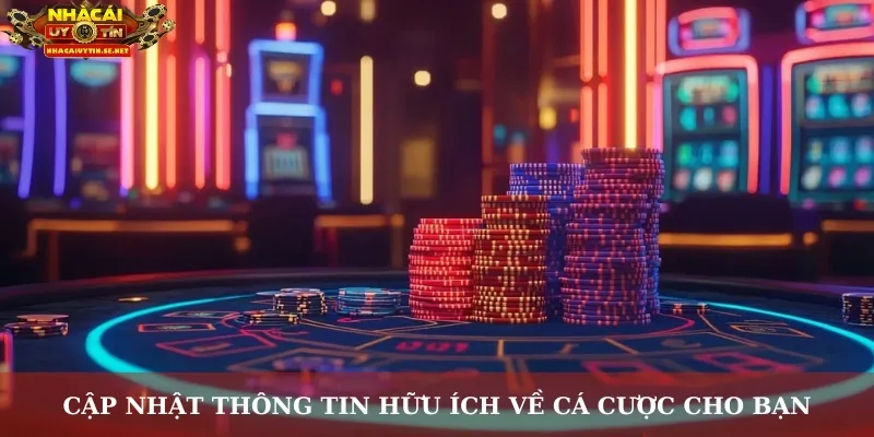 Cập nhật thông tin hữu ích về cá cược cho bạn