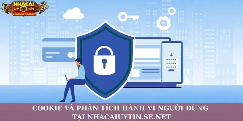 Cookie và phân tích hành vi người dùng tại Nhacaiuytin.se.net