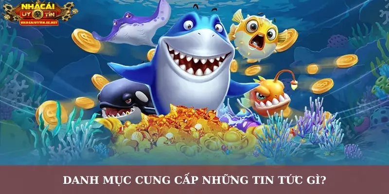 Danh mục cung cấp những tin tức gì?