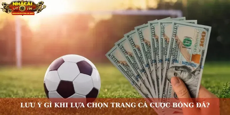 Top Trang Cá Cược Bóng Đá Uy Tín An Toàn, Nhà Cái Hàng Đầu 10 Lưu ý gì khi lựa chọn trang cá cược bóng đá?
