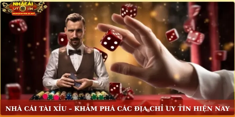 Nhà cái tài xỉu
