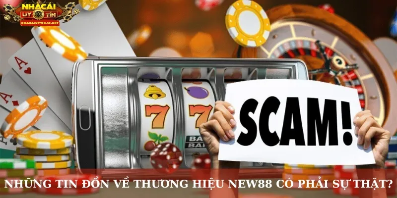 Những tin đồn về thương hiệu New88 có phải sự thật?