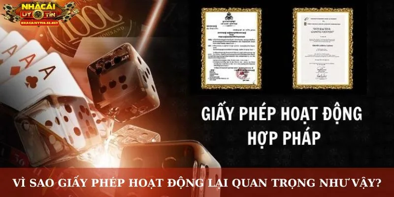 Vì sao giấy phép hoạt động lại quan trọng như vậy?