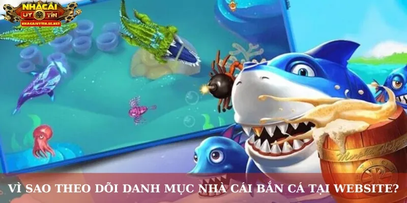 Vì sao theo dõi danh mục nhà cái bắn cá tại website?