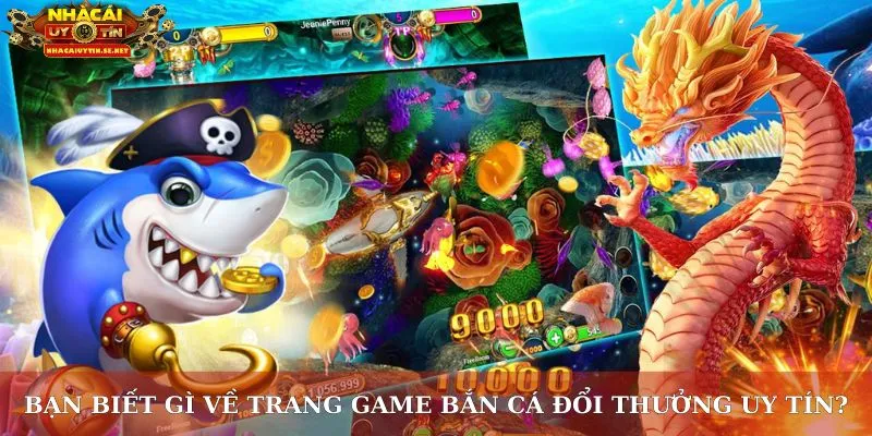 Banca30 – Sân Chơi Đổi Thưởng Hấp Dẫn, Uy Tín Hàng Đầu 2 Bạn biết gì về trang game bắn cá đổi thưởng uy tín?