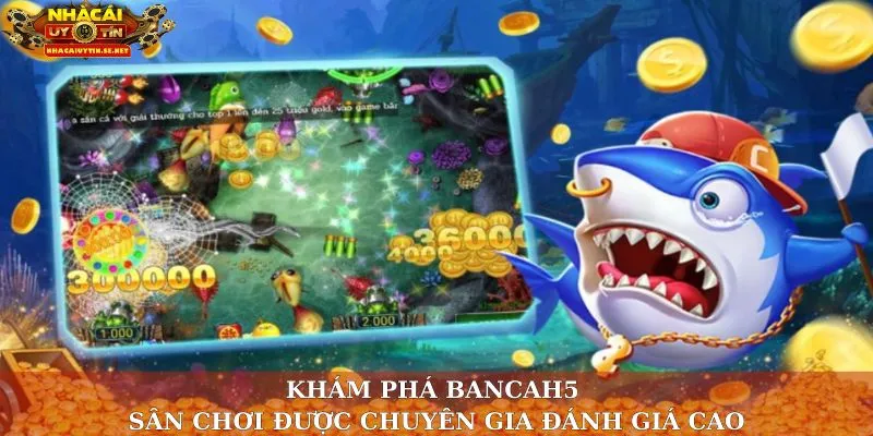 Khám Phá Bancah5 – Sân Chơi Được Chuyên Gia Đánh Giá Cao 7 Bancah5