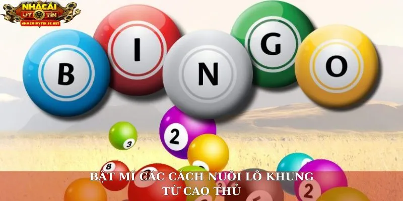 Bật mí các cách nuôi lô khung từ cao thủ