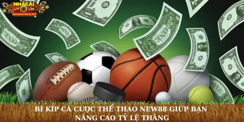 Bí kíp cá cược thể thao New88 giúp bạn nâng cao tỷ lệ thắng