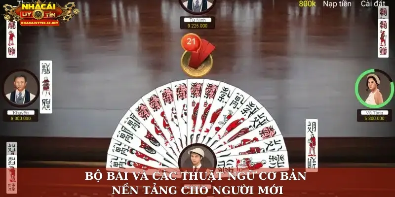 Kiến Thức Bài Chắn – Cẩm Nang Toàn Diện Cho Tân Binh 2 Bộ bài và các thuật ngữ cơ bản – Nền tảng cho người mới