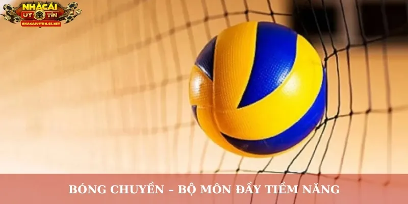 Bóng chuyền – Bộ môn đầy tiềm năng