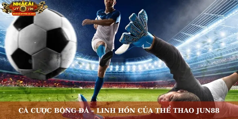 Cá cược bóng đá – Linh hồn của thể thao Jun88
