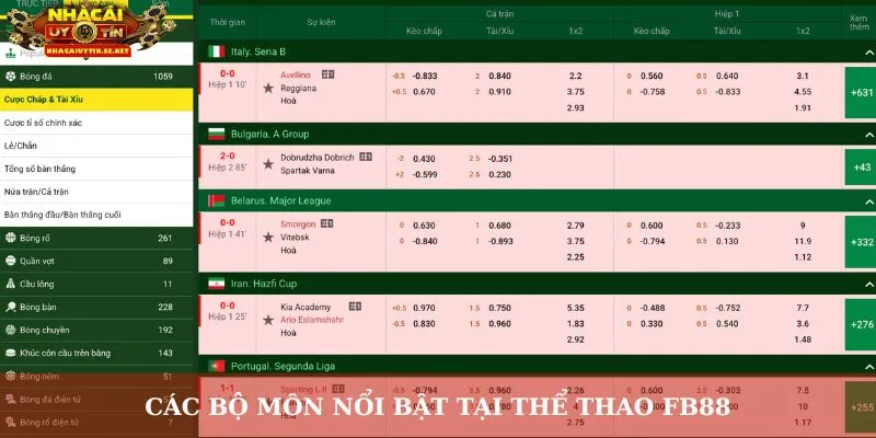 Thể Thao FB88 – Sân Chơi Cá Cược Sôi Động Hàng Đầu 4 Các bộ môn nổi bật tại thể thao FB88