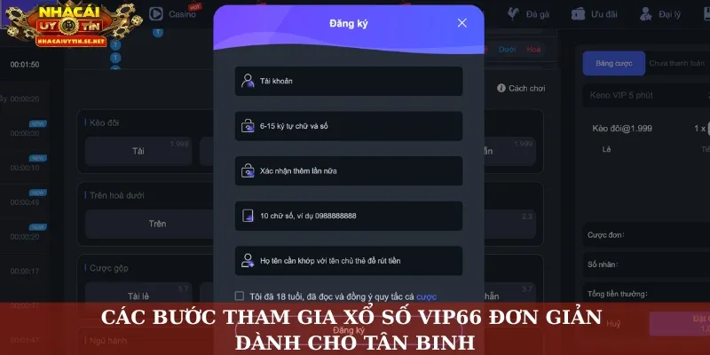 Các bước tham gia xổ số VIP66 đơn giản dành cho tân binh