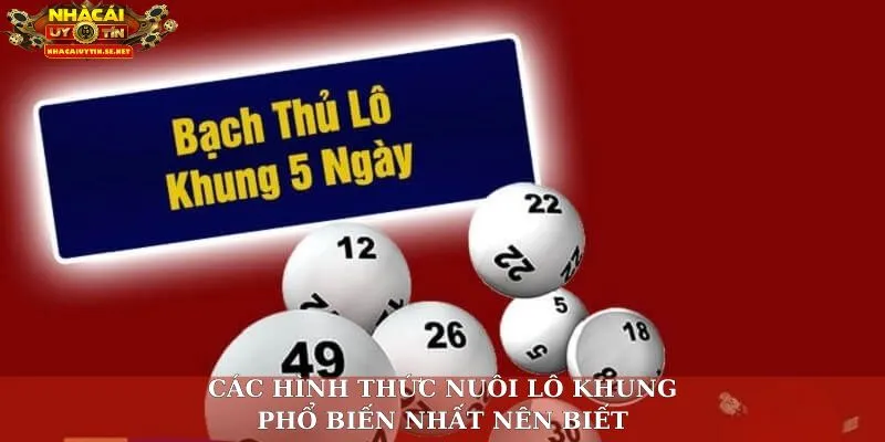 Các hình thức nuôi lô khung phổ biến nhất nên biết