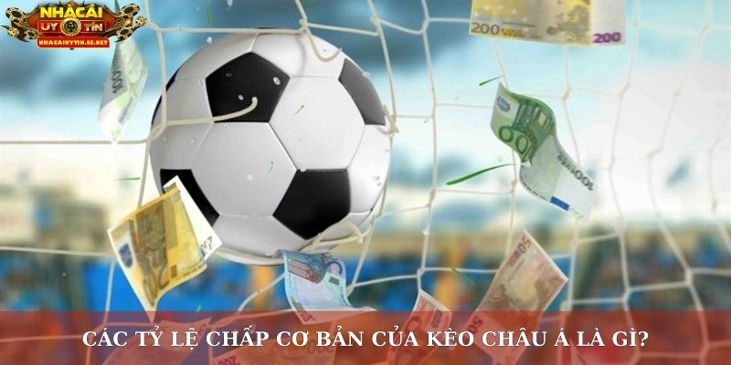 Các tỷ lệ chấp cơ bản của kèo châu Á là gì?