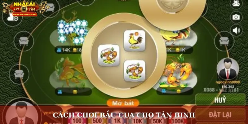 Chơi Bầu Cua – Trải Nghiệm Giải Trí Kết Hợp May Mắn 3 Cách chơi bầu cua cho tân binh
