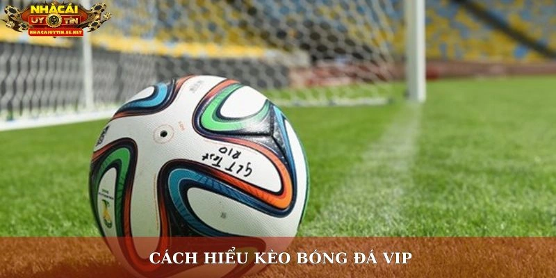 Cách hiểu kèo bóng đá vip