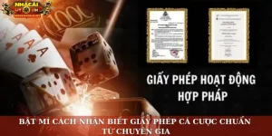 Cách nhận biết giấy phép
