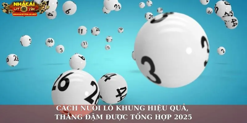 Cách Nuôi Lô Khung Hiệu Quả, Thắng Đậm Được Tổng Hợp 2025 1 Cách nuôi lô khung