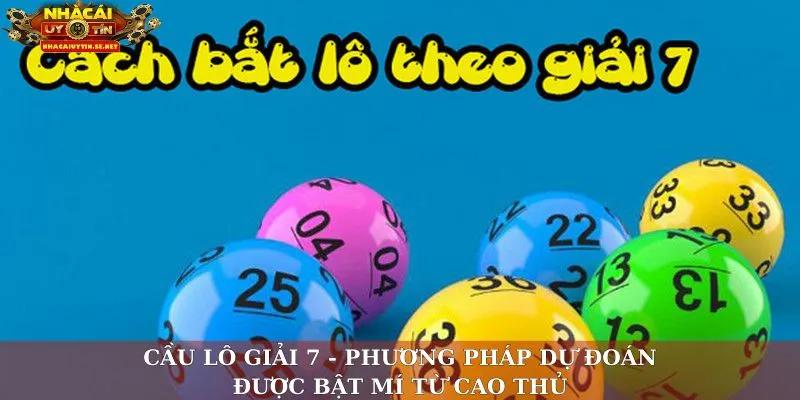 Cầu Lô Giải 7 - Phương Pháp Dự Đoán Được Bật Mí Từ Cao Thủ 1 Cầu lô giải 7