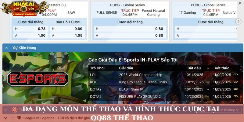 Đa dạng môn thể thao và hình thức cược tại QQ88 thể thao