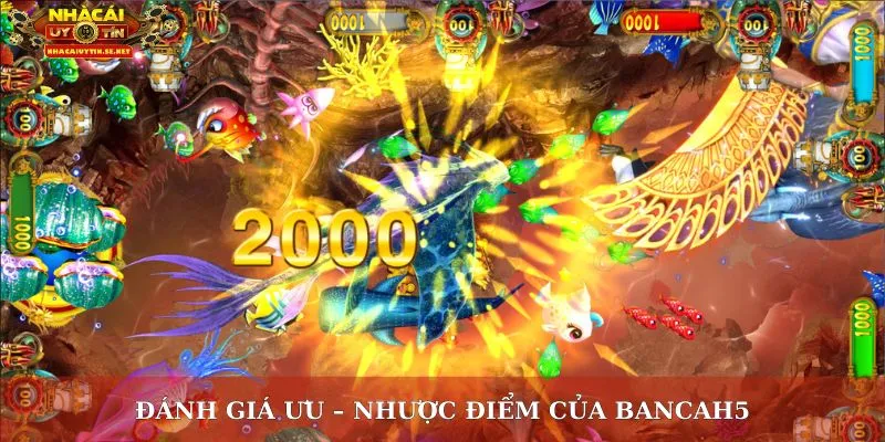 Đánh giá ưu – nhược điểm của Bancah5