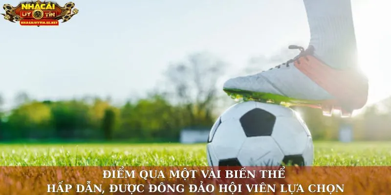Điểm qua một vài biến thể hấp dẫn, được đông đảo hội viên lựa chọn