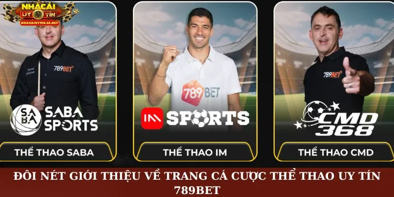 Thể Thao 789bet – Bùng Nổ Cảm Xúc Cùng Sân Cá Cược Đỉnh Cao 2 Đôi nét giới thiệu về trang cá cược thể thao uy tín 789Bet