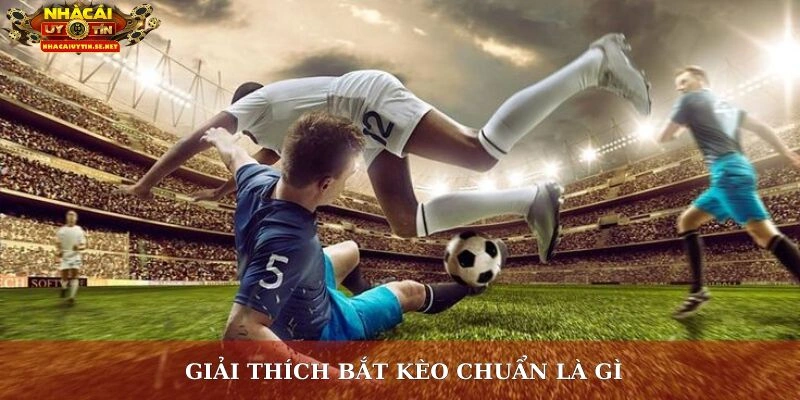 Bắt Kèo Chuẩn Là Gì? Giải Mã Bí Quyết Thắng Lớn Từ Cao Thủ 2 Giải thích bắt kèo chuẩn là gì