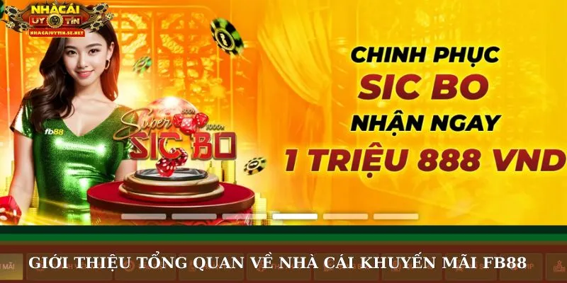 Khuyến mãi FB88 – Cập Nhật Thưởng Mới, Chơi Vui Nhận Ngay 2 Giới thiệu tổng quan về nhà cái khuyến mãi FB88