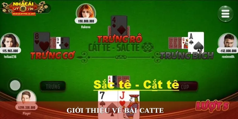 Kiến Thức Bài Catte – Chiến Thuật Thắng Lớn Cho Người Mới 2 Giới thiệu về bài catte