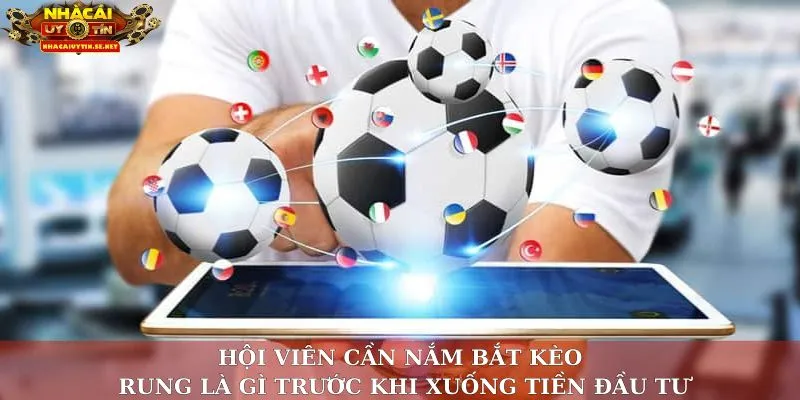 Hội viên cần nắm bắt kèo rung là gì trước khi xuống tiền đầu tư