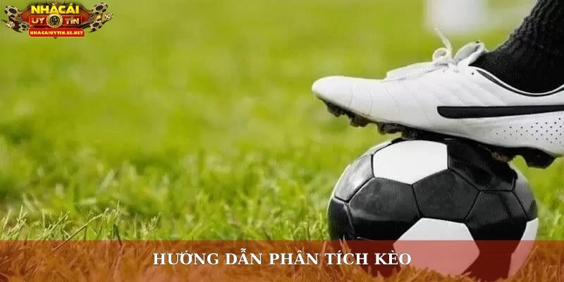 Kèo Đồng Banh Là Gì? Bật Mí Cách Đọc Chuẩn Cho Tân Thủ 3 Hướng dẫn phân tích kèo