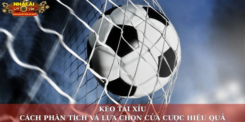 Kèo Tài Xỉu: Cách Phân Tích Và Lựa Chọn Cửa Cược Hiệu Quả 1 Kèo tài xỉu