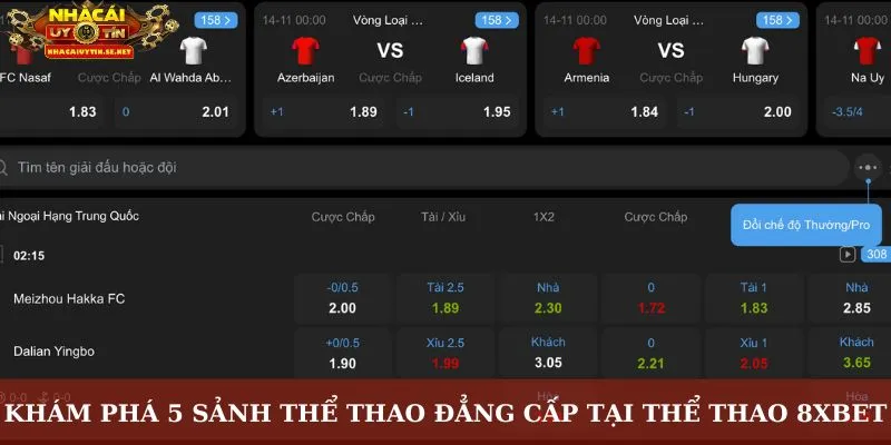 Khám phá 5 sảnh thể thao đẳng cấp tại thể thao 8Xbet