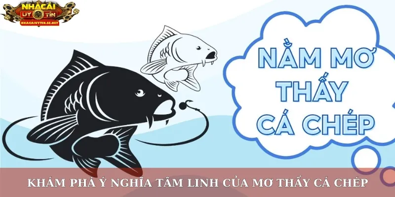 Khám phá ý nghĩa tâm linh của mơ thấy cá chép