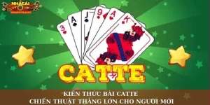 kiến thức bài catte