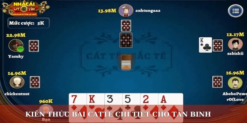 Kiến Thức Bài Catte – Chiến Thuật Thắng Lớn Cho Người Mới 3 Kiến thức bài catte chi tiết cho tân binh