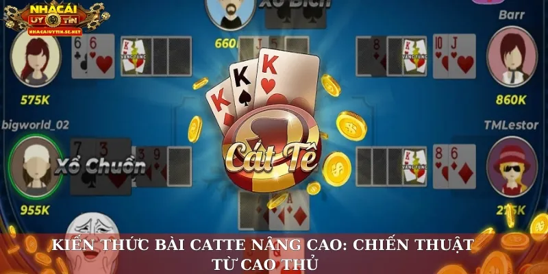 Kiến Thức Bài Catte – Chiến Thuật Thắng Lớn Cho Người Mới 4 Kiến thức bài catte nâng cao: Chiến thuật từ cao thủ
