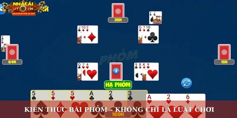 Kiến thức bài phỏm – Không chỉ là luật chơi