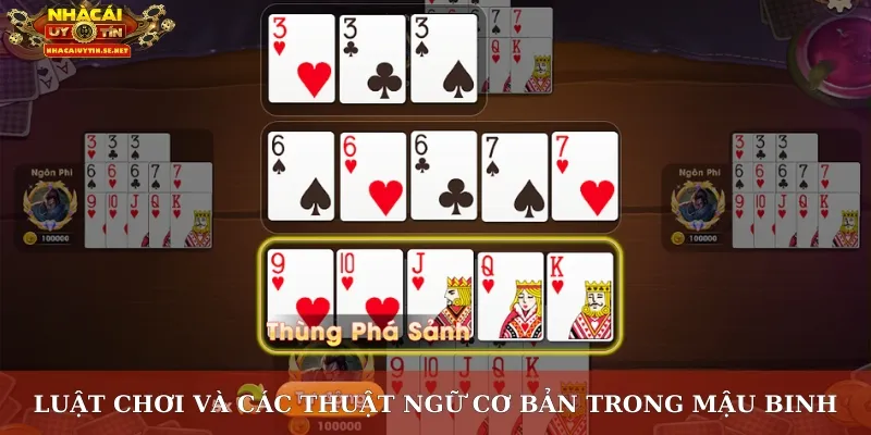 Luật chơi và các thuật ngữ cơ bản trong Mậu Binh