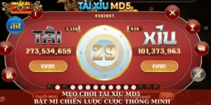 Mẹo chơi tài xỉu MD5