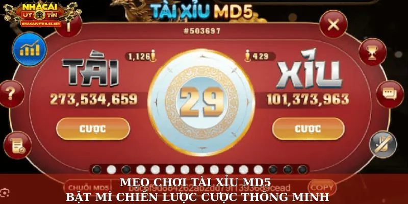 Mẹo Chơi Tài Xỉu MD5 – Bật Mí Chiến Lược Cược Thông Minh 1 Mẹo chơi tài xỉu MD5