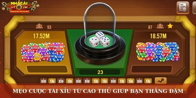 Mẹo cược tài xỉu từ cao thủ giúp bạn thắng đậm