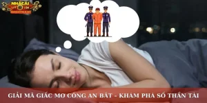 mơ công an bắt