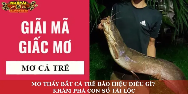 Mơ Thấy Bắt Cá Trê Báo Hiệu Điều Gì? Khám Phá Con Số Tài Lộc 1 Mơ thấy bắt cá trê